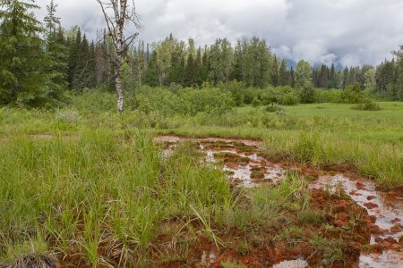 Ray farm mineral spring